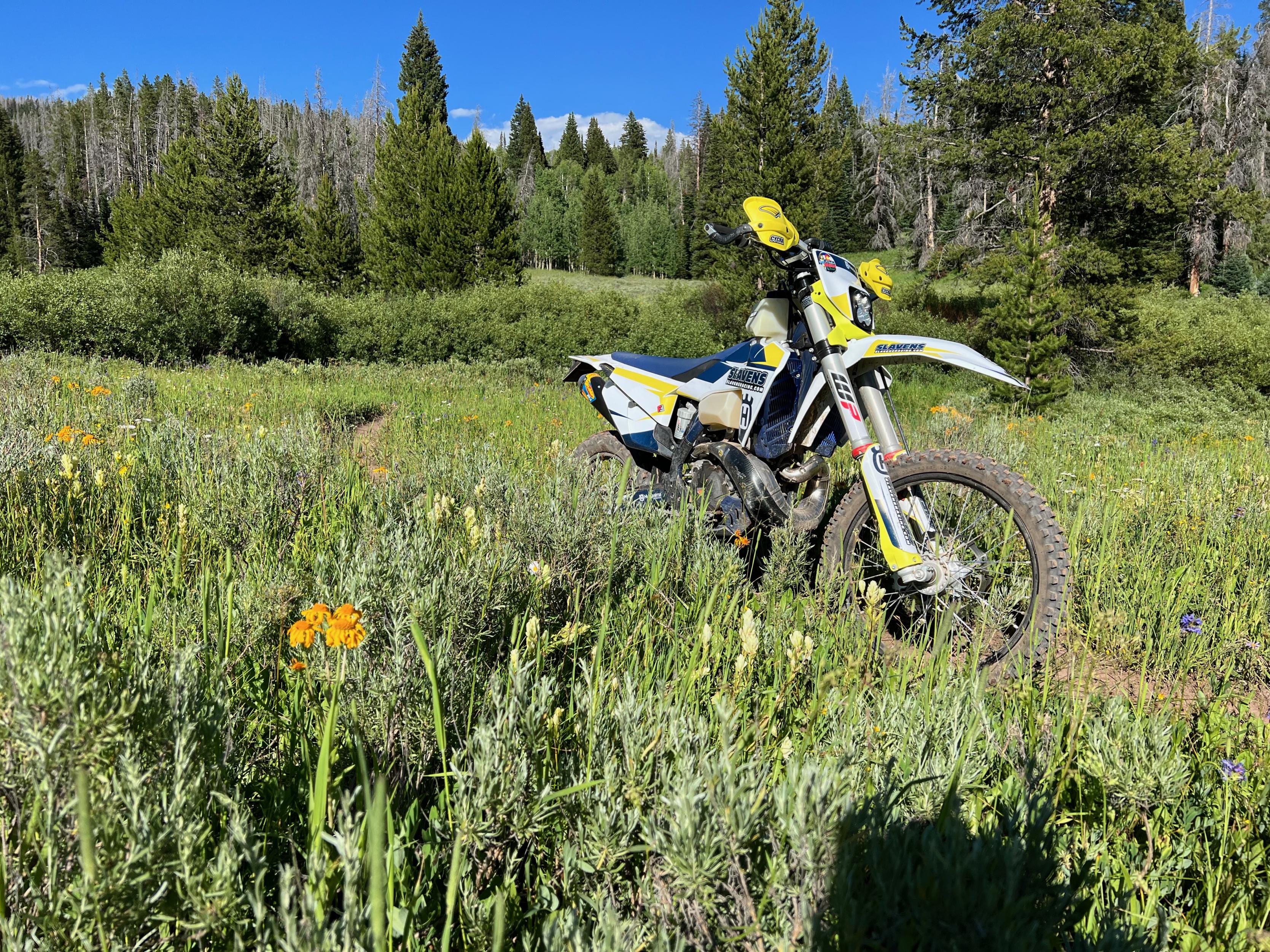 moto