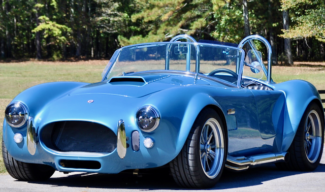 Cobra   1 of 1