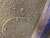 IMG 2538