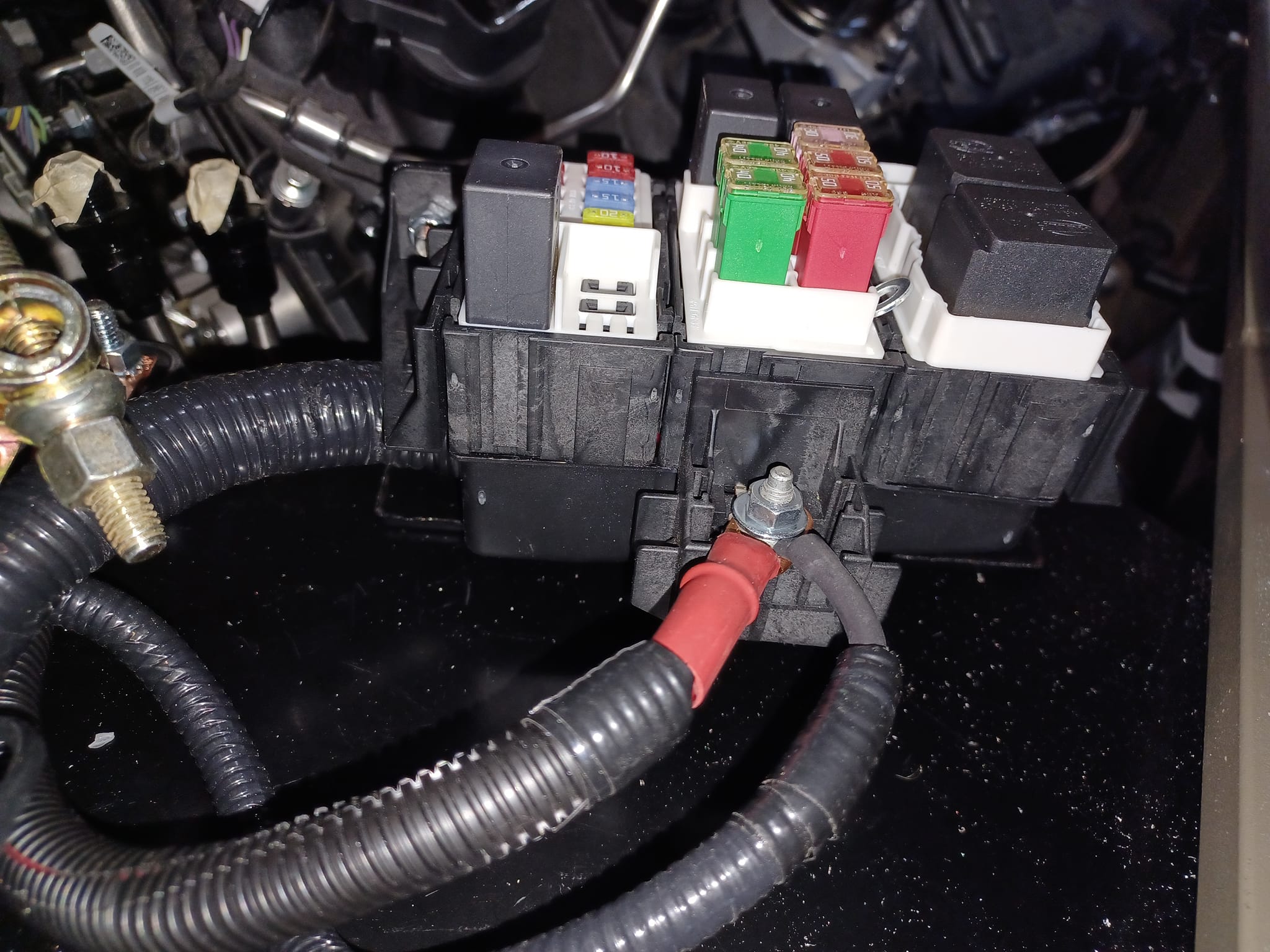 Coyote Fuse Box