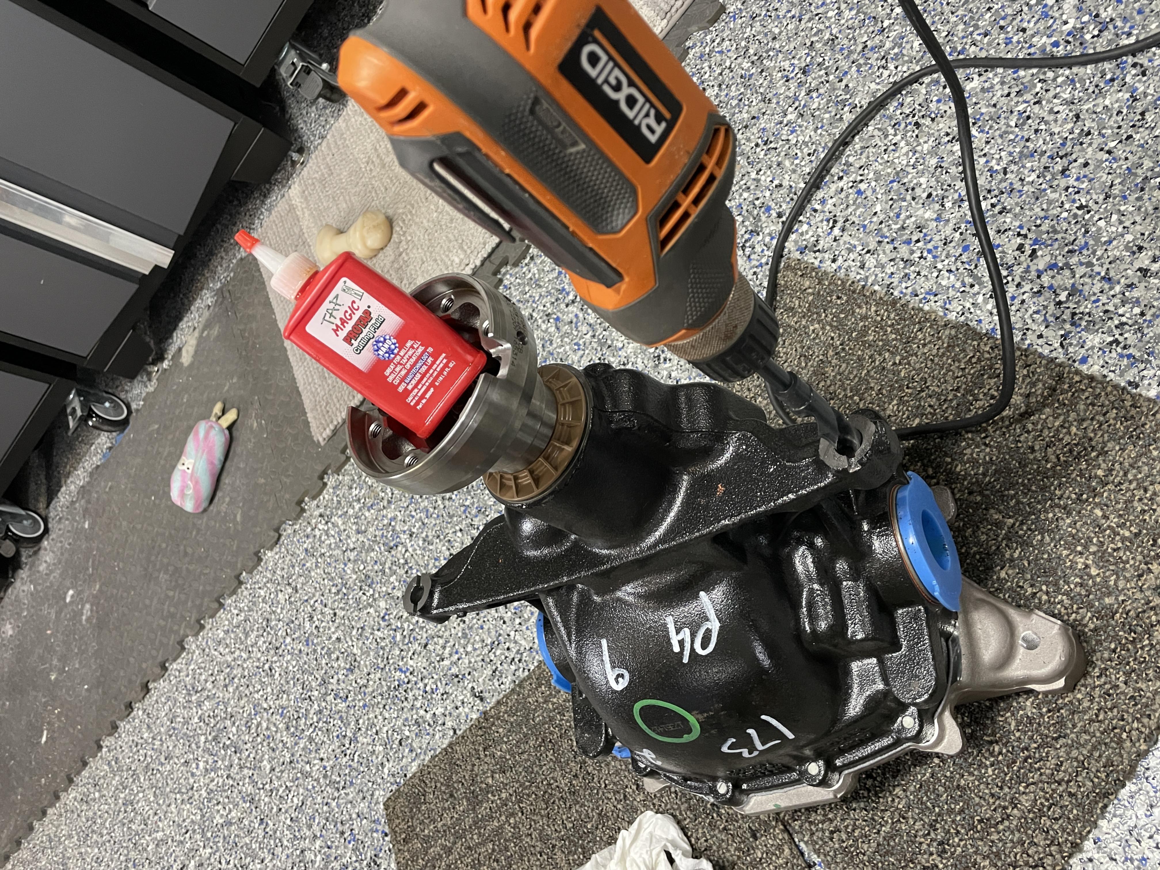 IMG 2513