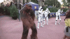 A dancing Wookie!