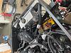IMG 1433