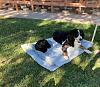 IMG 4315 2