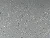 IMG 2097a