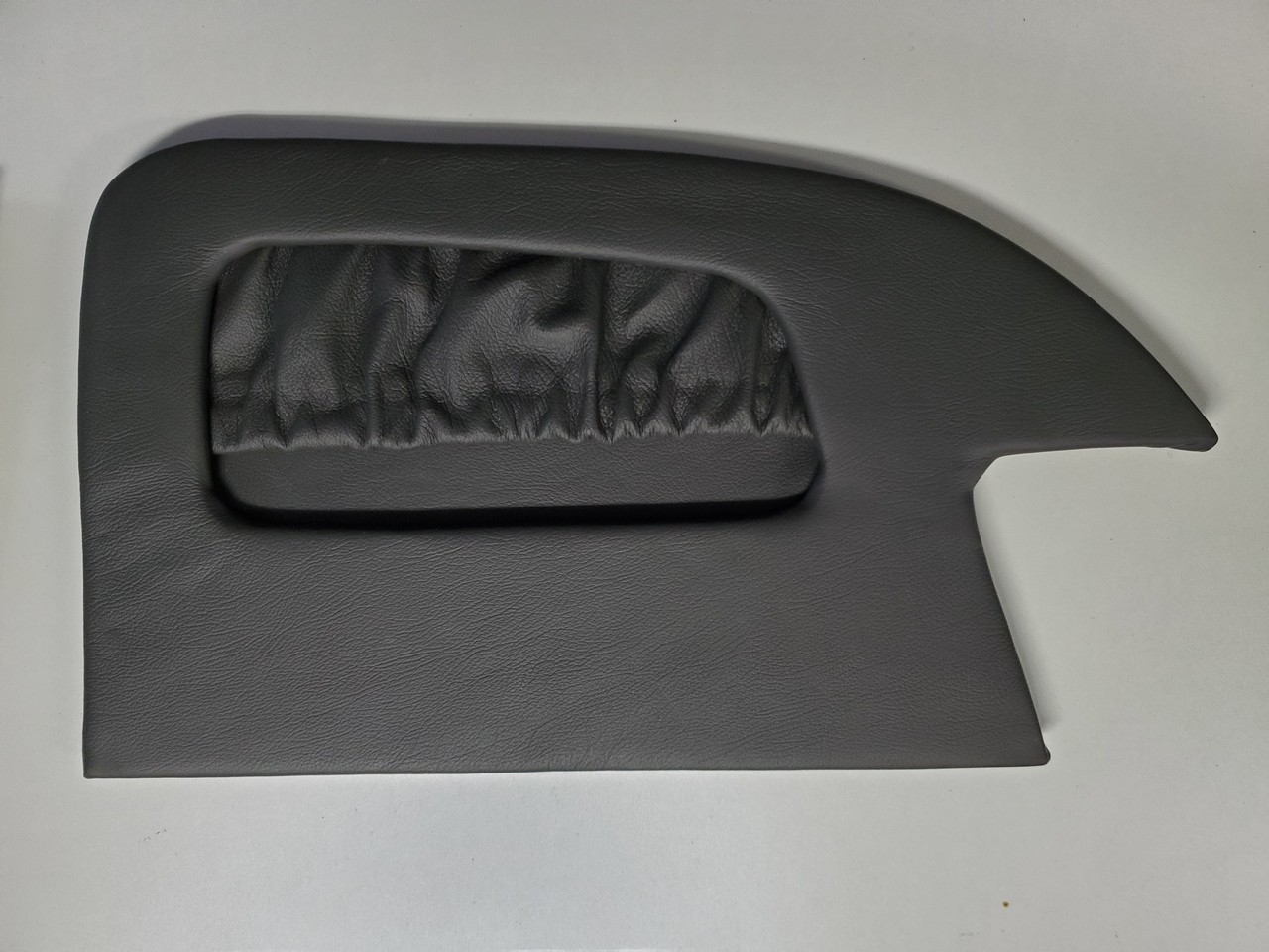 door panel