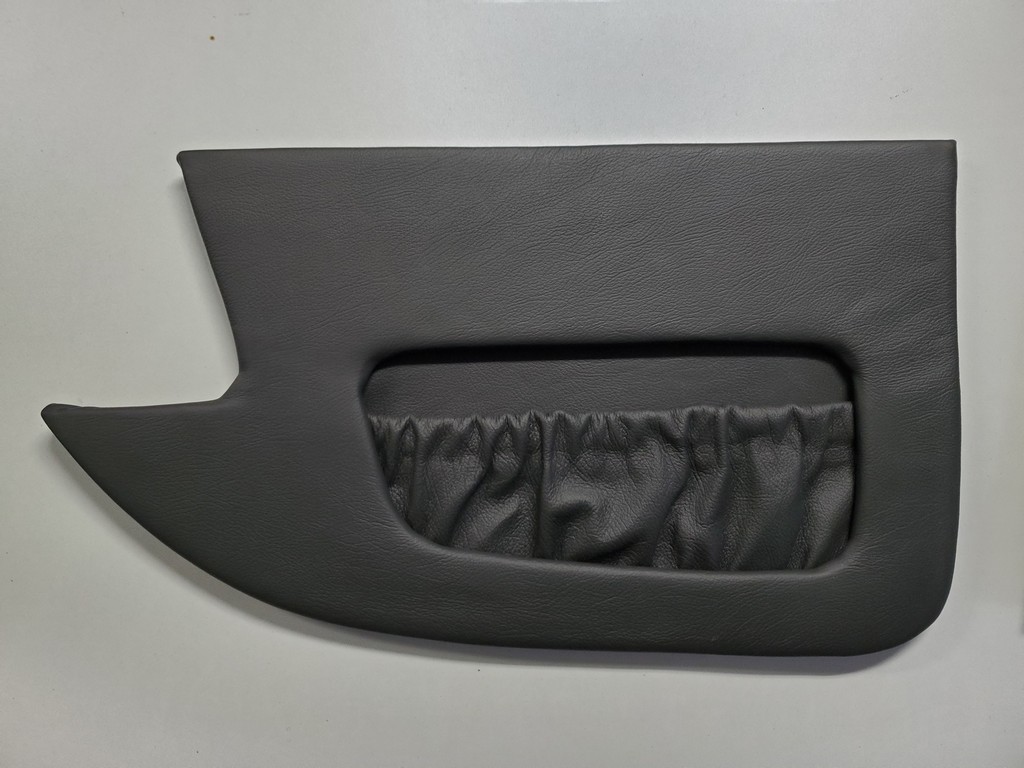 door panel