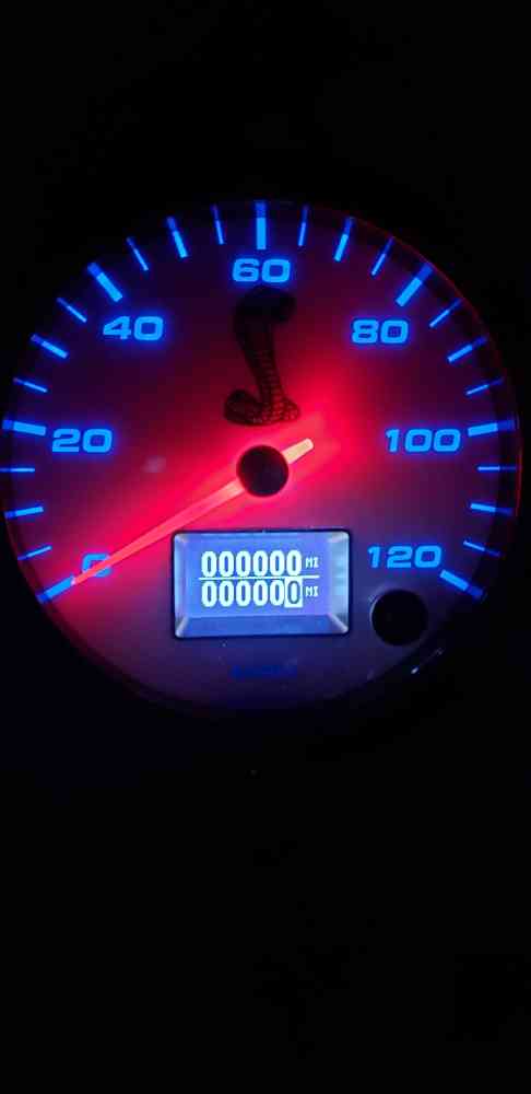 speedo light