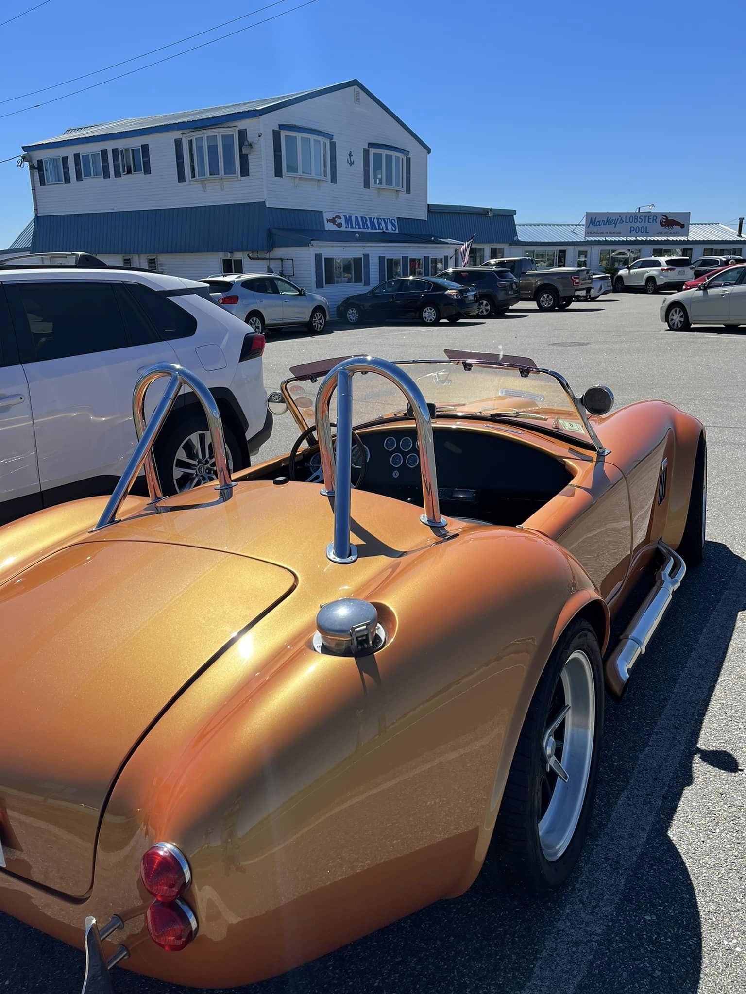 Tak rear quarter