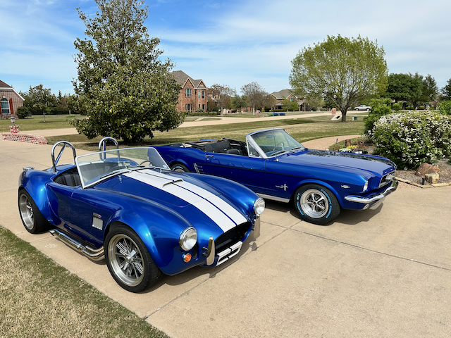 Cobra and Mustang 1