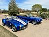 Cobra and Mustang 1