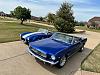Cobra and Mustang 2