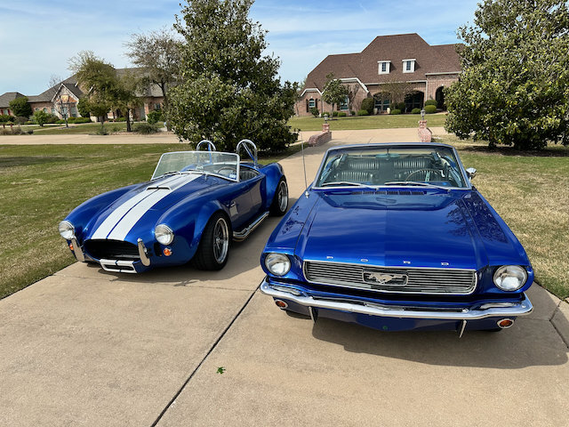 Cobra and Mustang 3