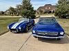 Cobra and Mustang 3