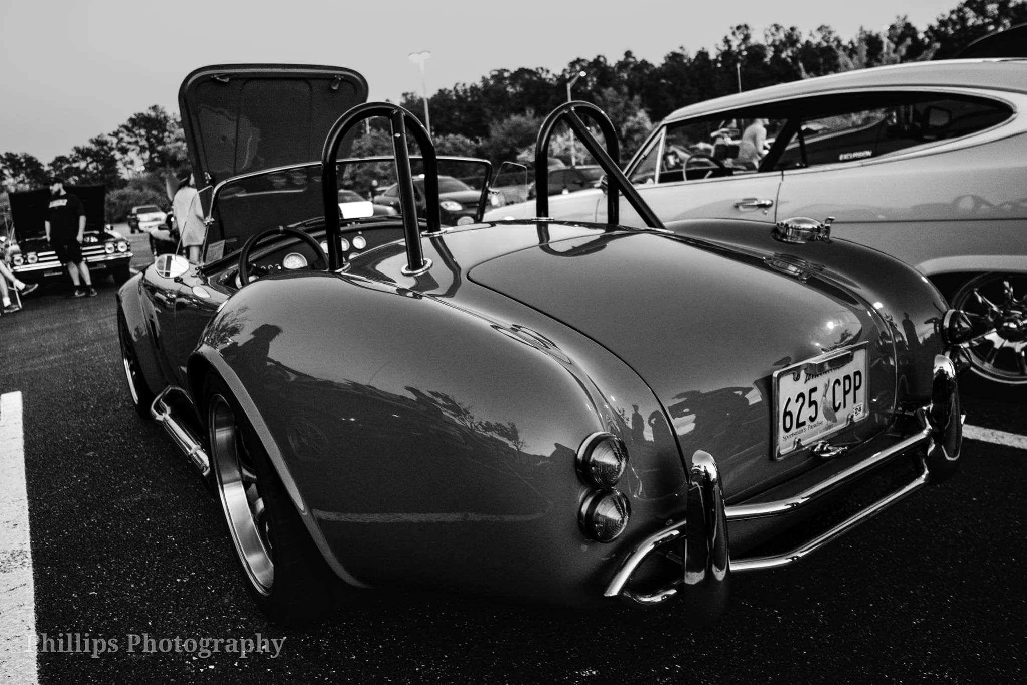 Cobra Rear Pic