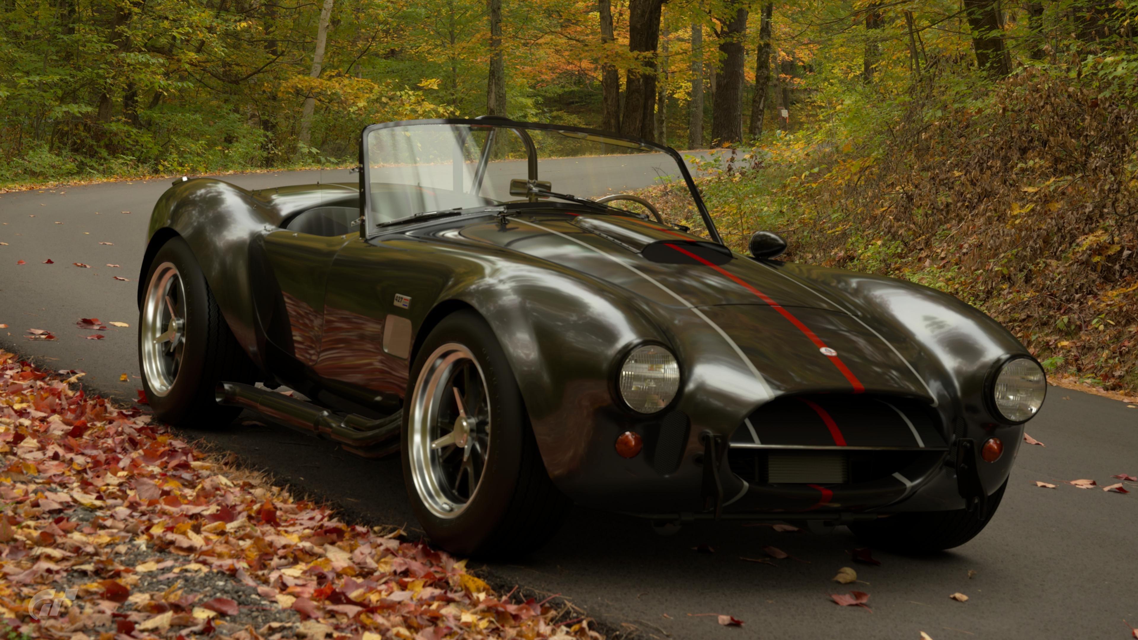 A strong contender - Charcoal Grey with Black Stripes, Silver Quarter Stripes and a Red Center