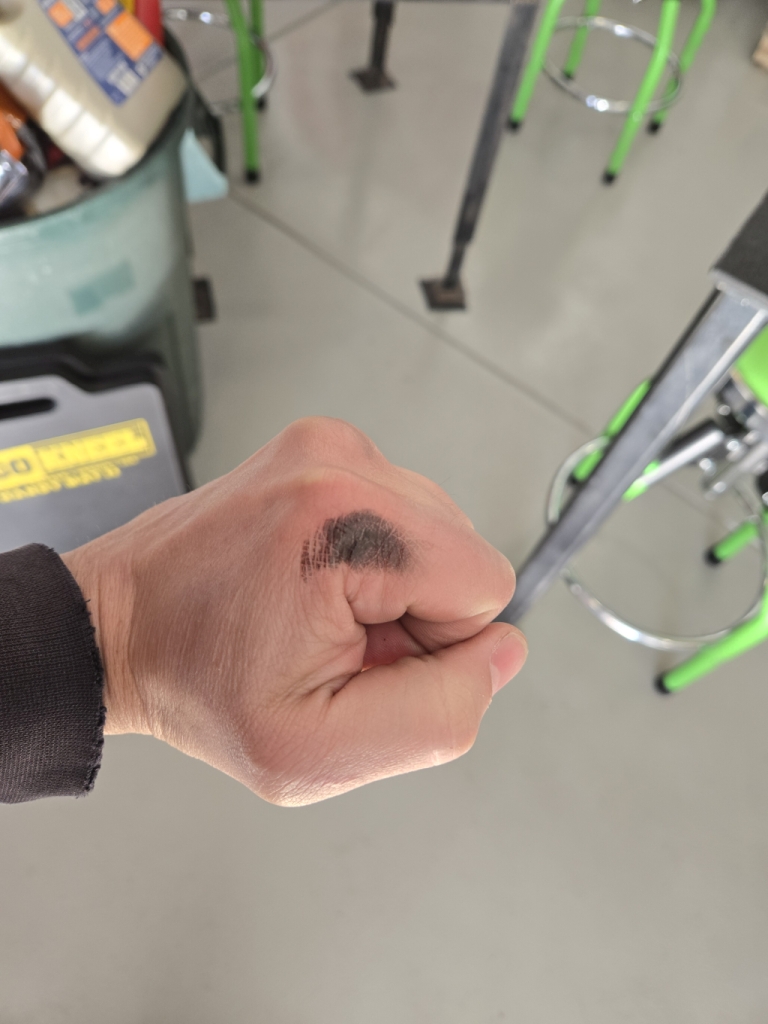 first snake bite