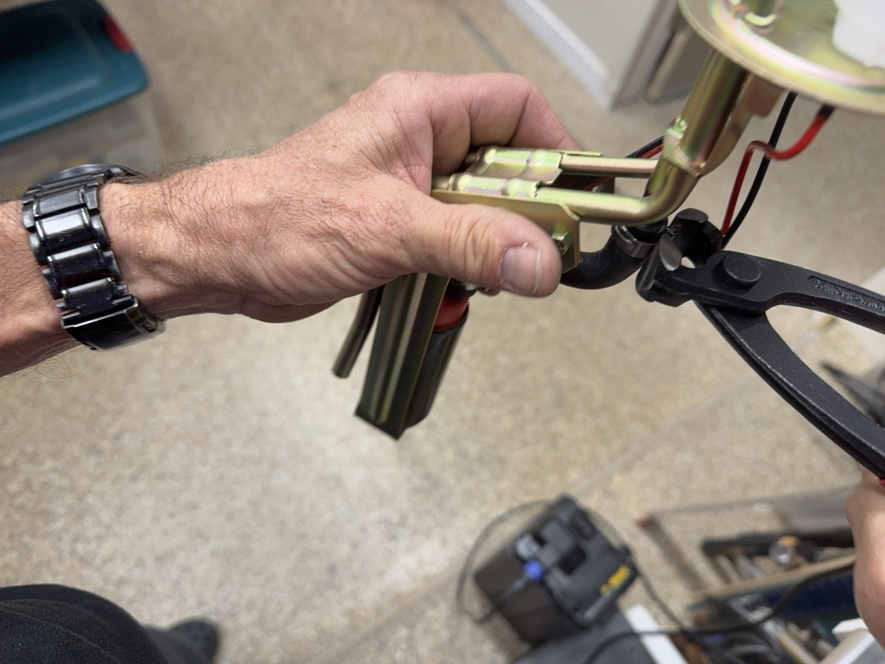 IMG 3669 Large