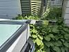 IMG 6109