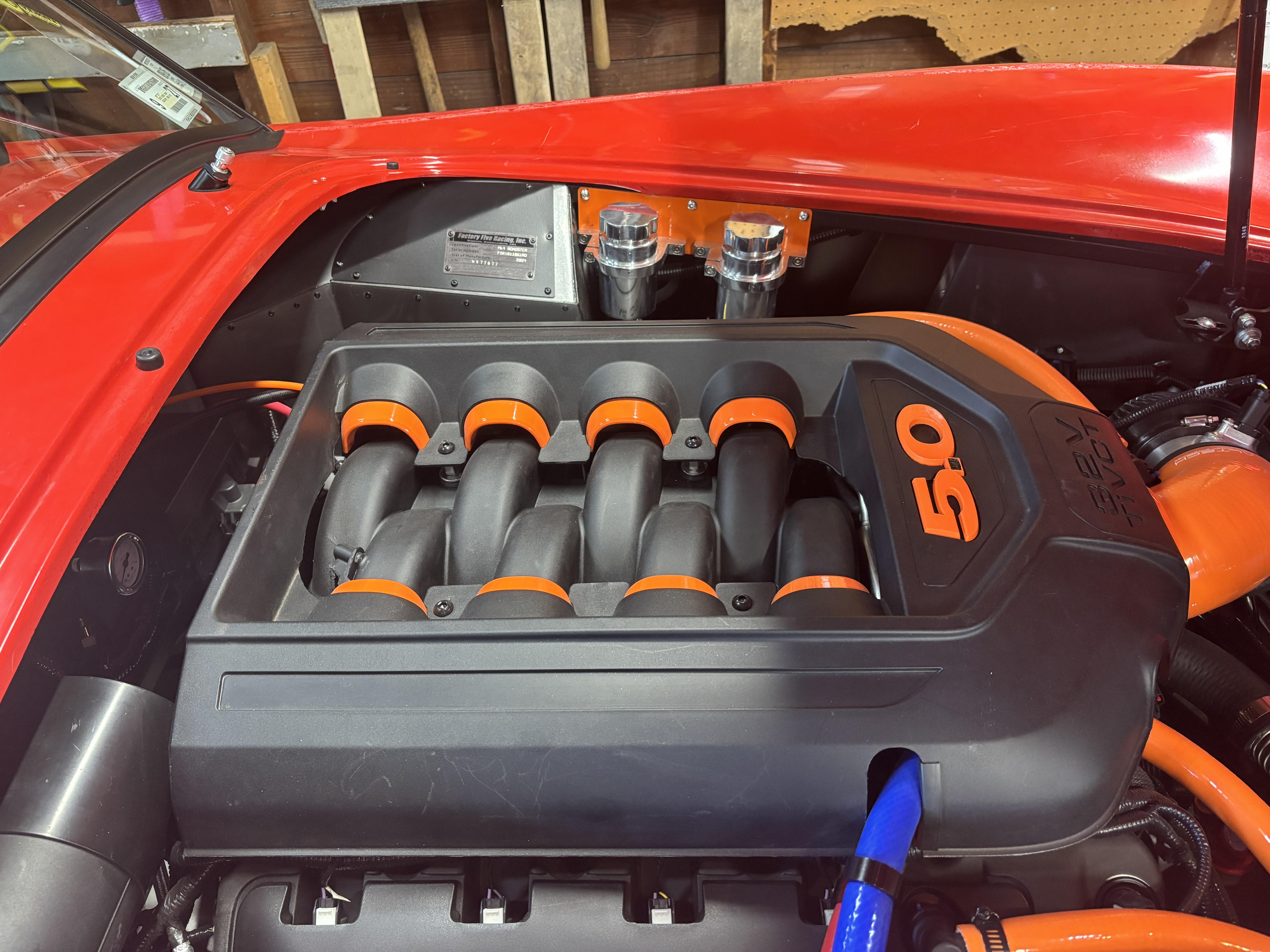 IMG 6481