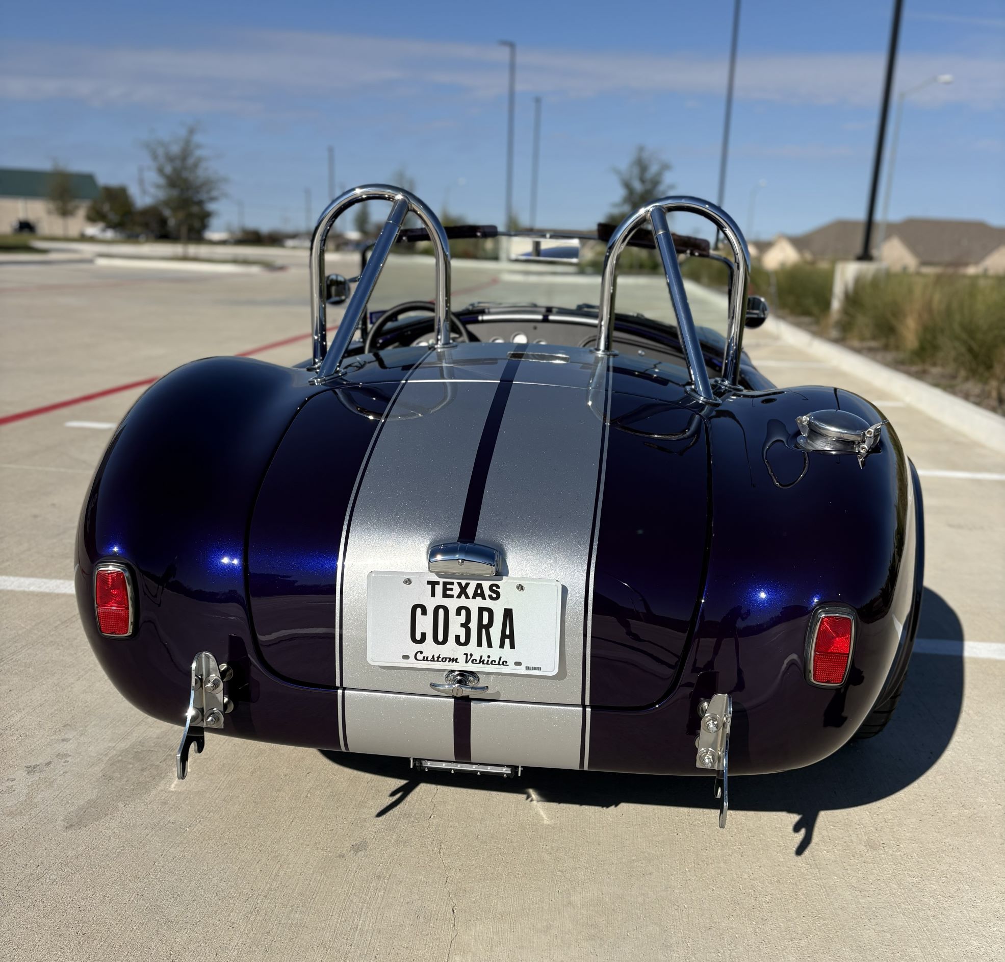 Cobra6