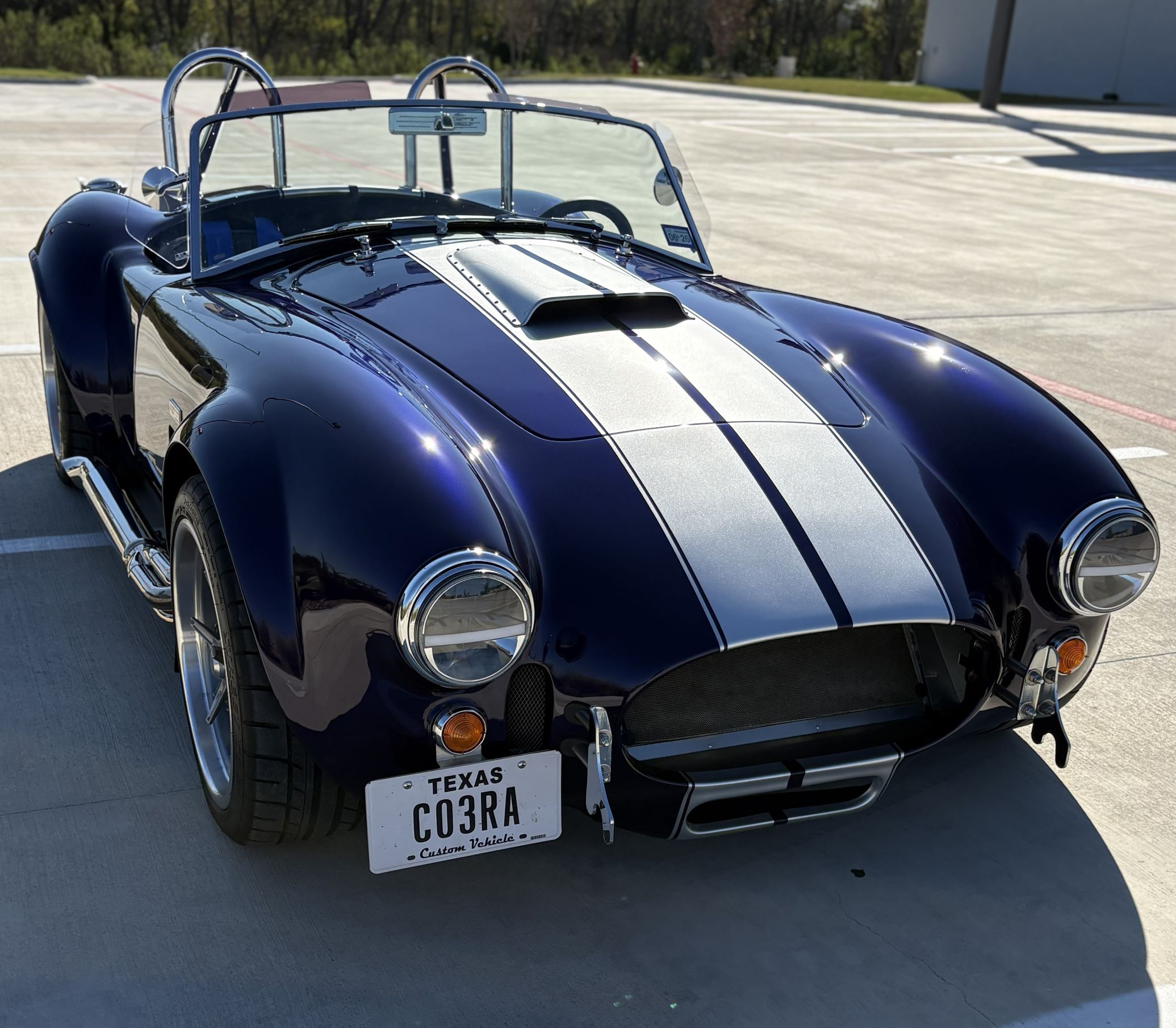 Cobra13