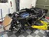 IMG 5785