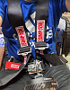 harness 6