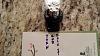 20131113 182003 (Small)