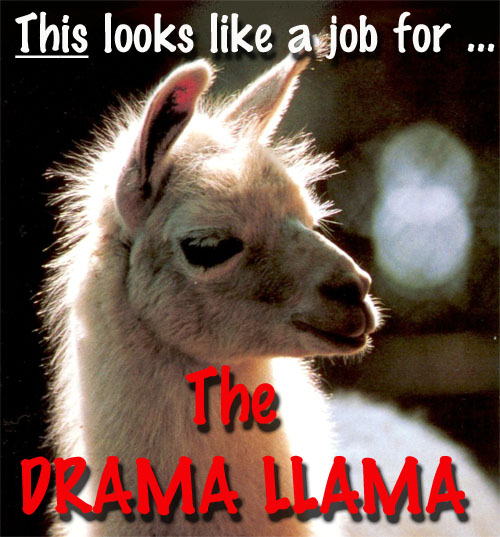 This looks like a Job For... The Drama Llama!