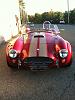 cobra pic at serge's. rotated.01.08.2014