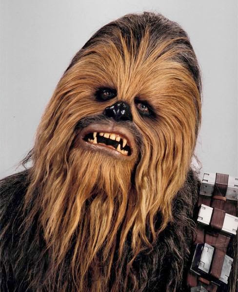 wookie leaks