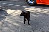 IMG 4057Med