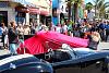 IMG 4237 (Medium)