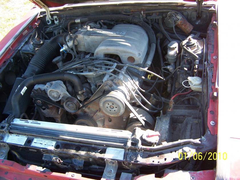 5.0 still in donor.