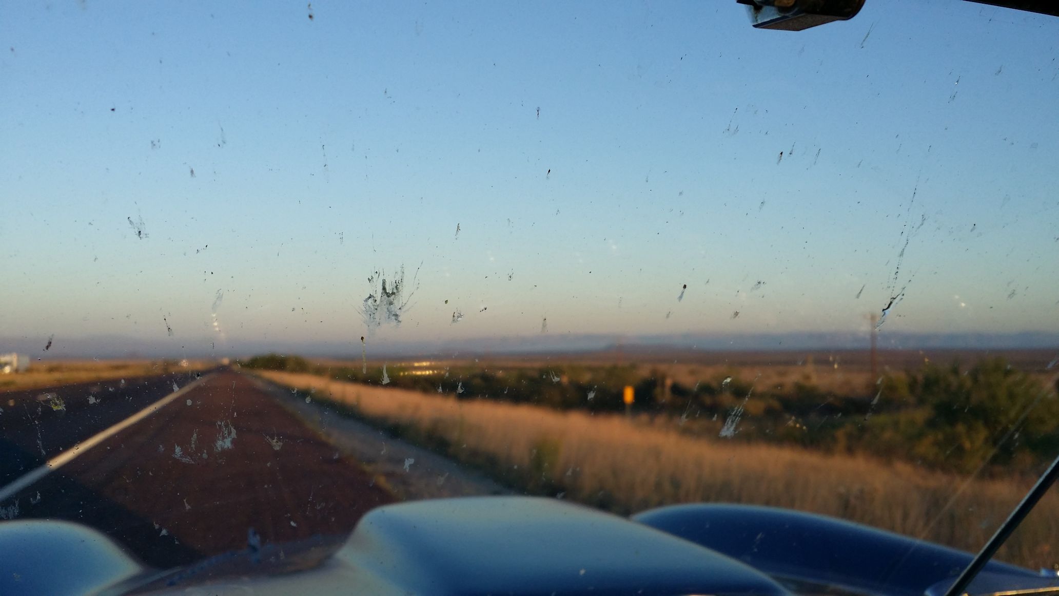 Some times your the bug and some times your the bat - or rather windscreen!