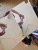 IMG 1564