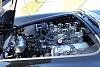 IMG 9729 (Medium)
