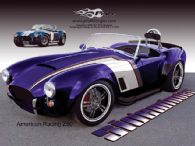 113 0510 02 z+cobra crate+paint