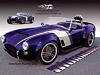 113 0510 02 z+cobra crate+paint