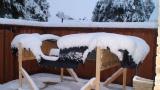 Body in snow a