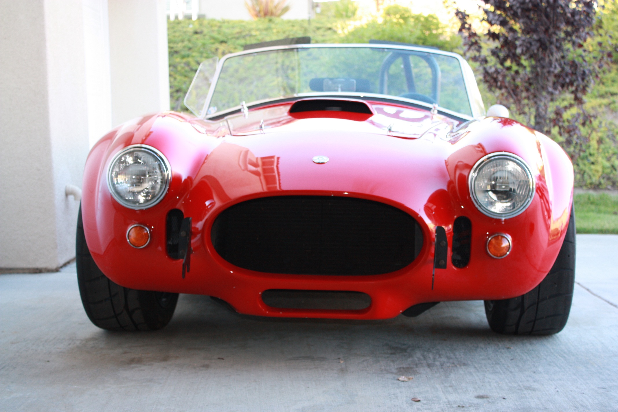 Cobra Front