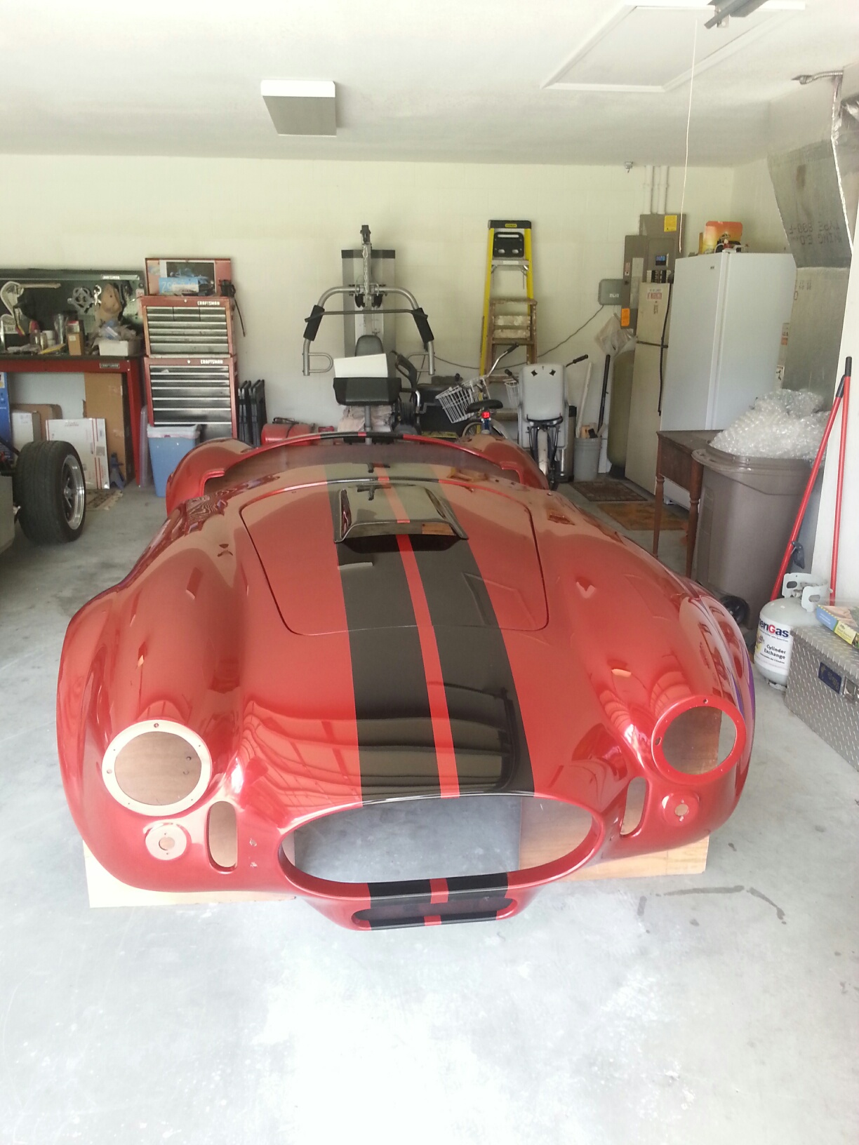 Cobra Paint 7