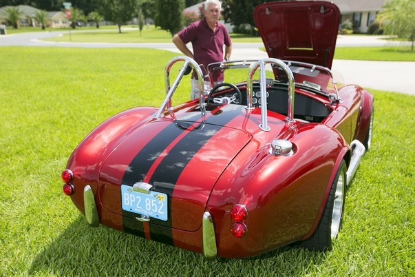 Cobra Pic 6