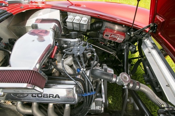 Cobra Pic 8