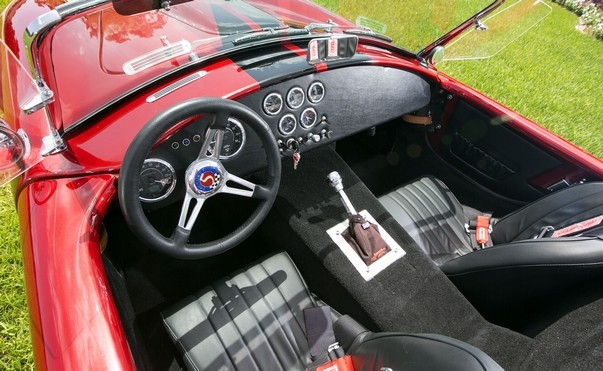 Cobra Pic 4