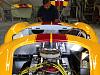 IMG 3559