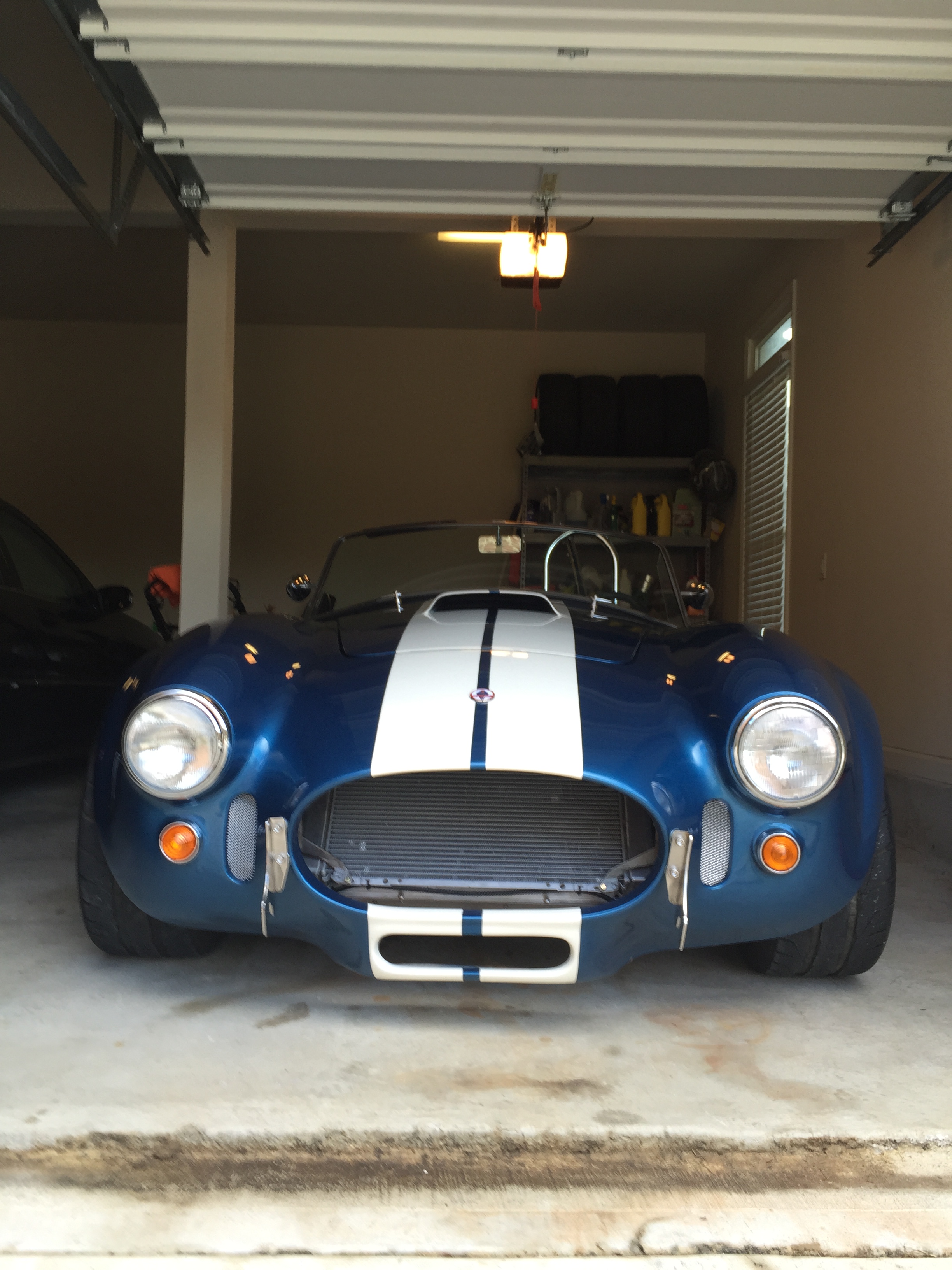 cobra front small