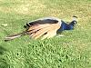 IMG 3880