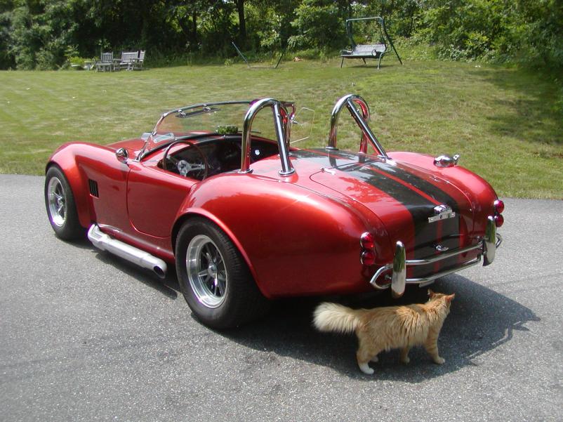 rear view